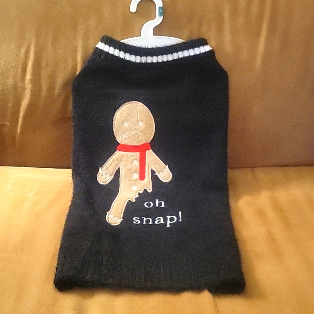 Doggie outfit.